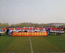 包含澳超联赛竞技水平提升，球队团队合作精神大大增强的词条