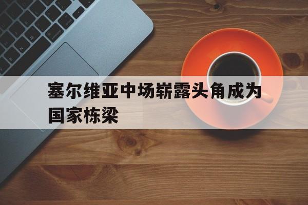 塞尔维亚中场崭露头角成为国家栋梁的简单介绍
